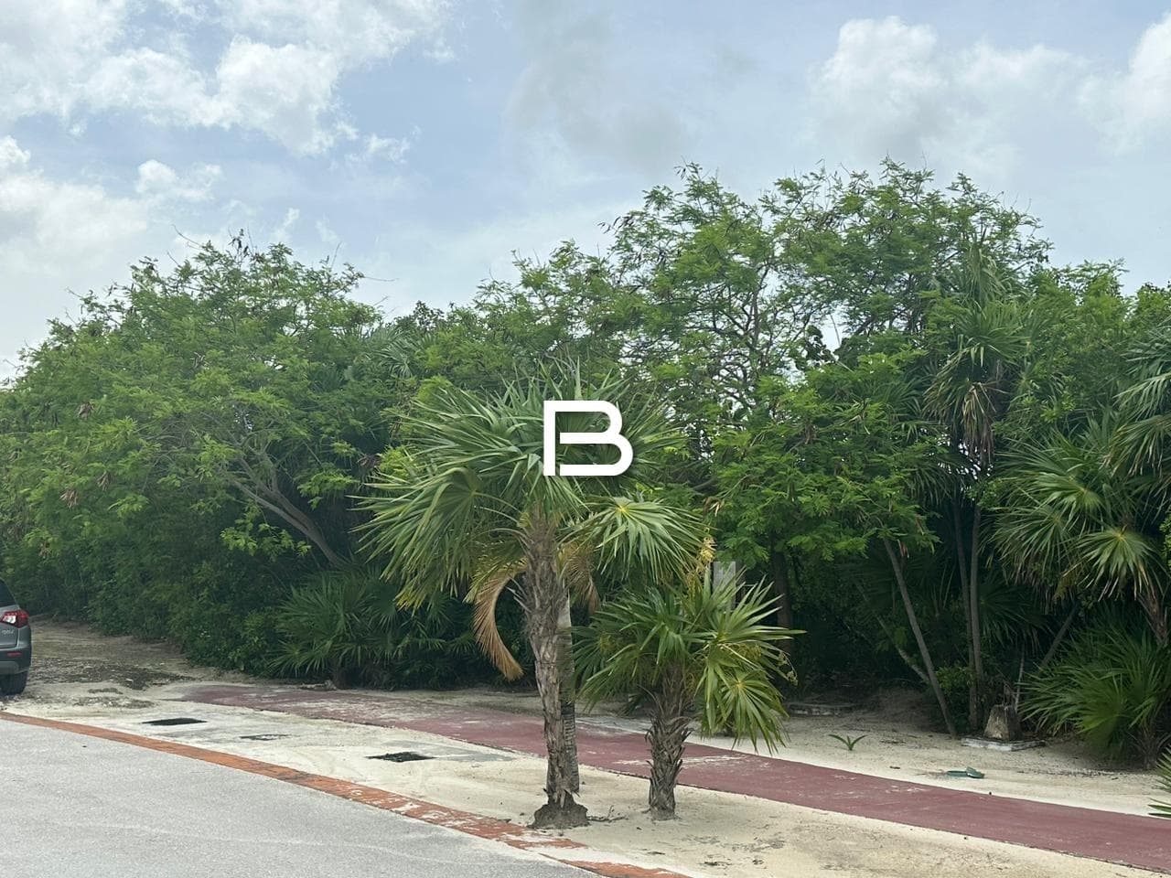 Land in Isla Blanca