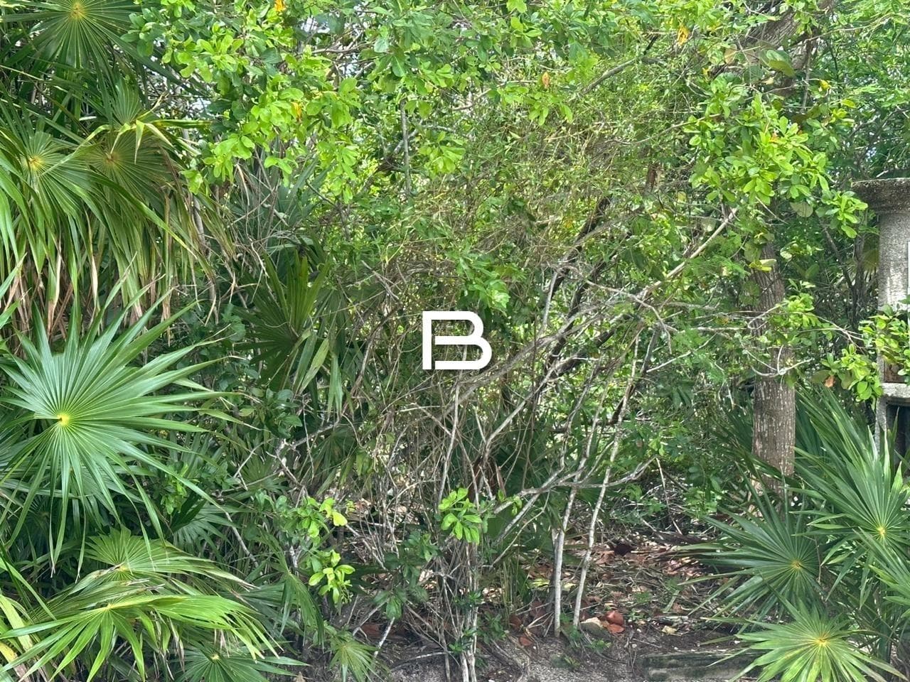 Land in Isla Blanca