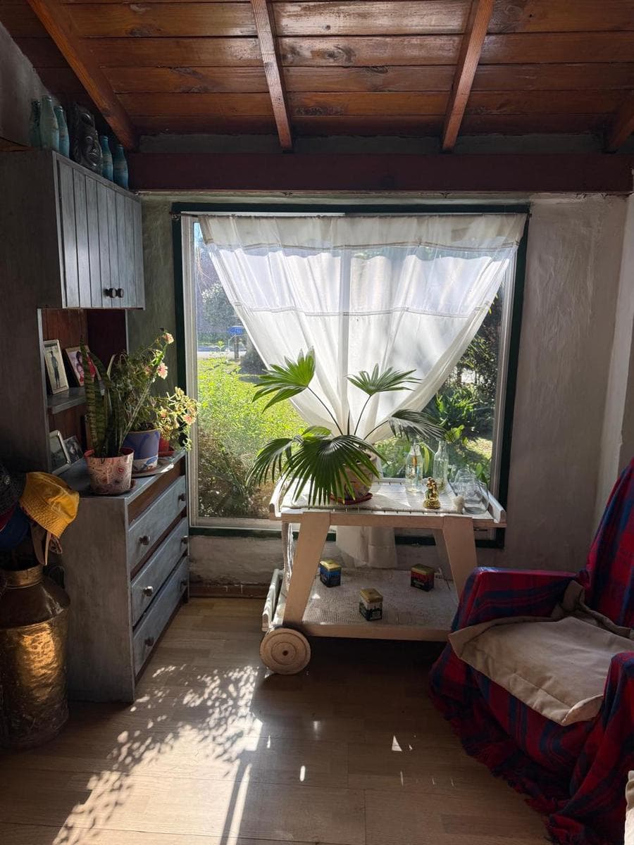 Single-story house in need of renovation