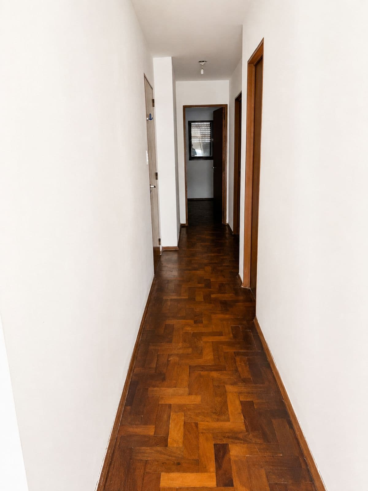 Apartment - Nueva Córdoba for Rent