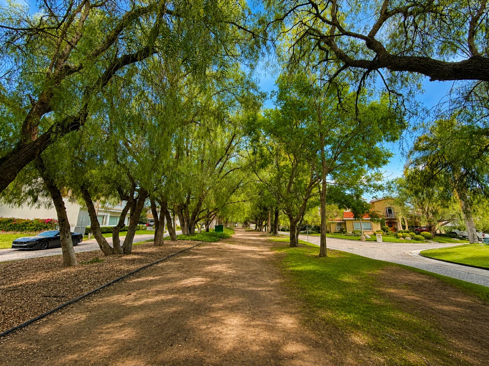 Lot in a Condominium Complex - Rancho San Antonio Condominium