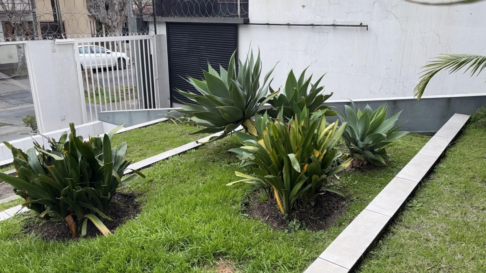 2-ROOM APARTMENT FOR RENT: BALCONY, UTILITY ROOM, SWIMMING POOL, SUITABLE FOR PROFESSIONALS