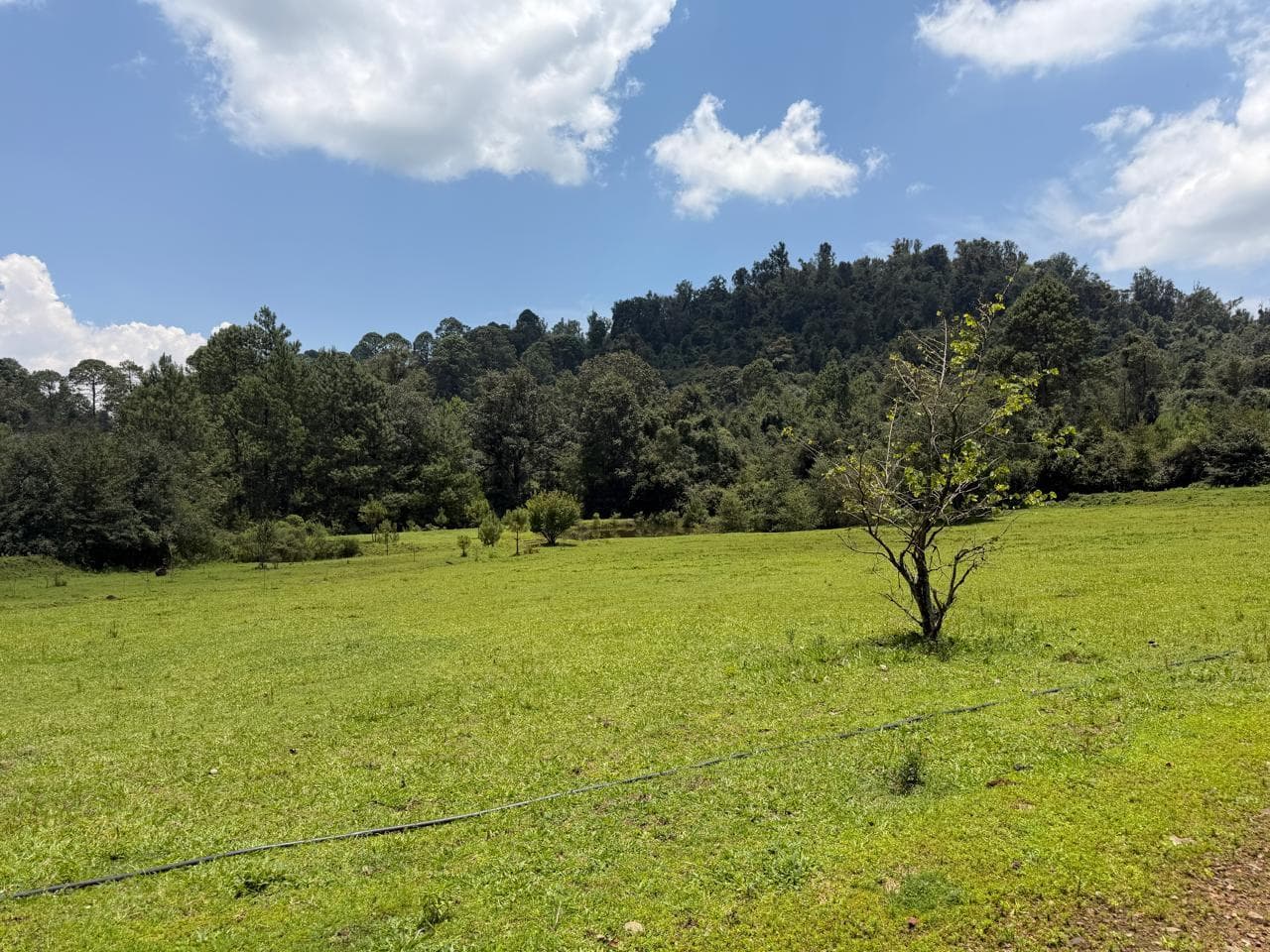 Land in El Fresno