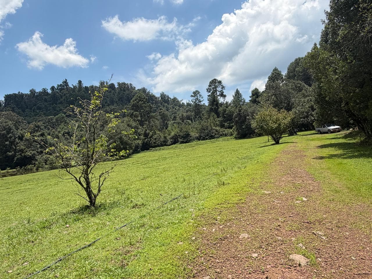 Land in El Fresno
