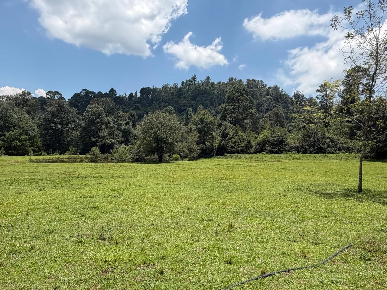 Land in El Fresno