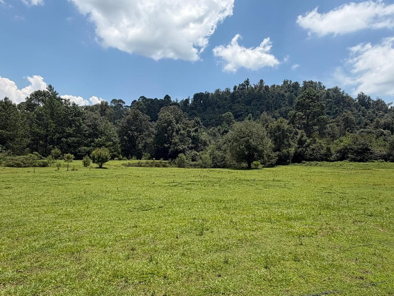 Land in El Fresno