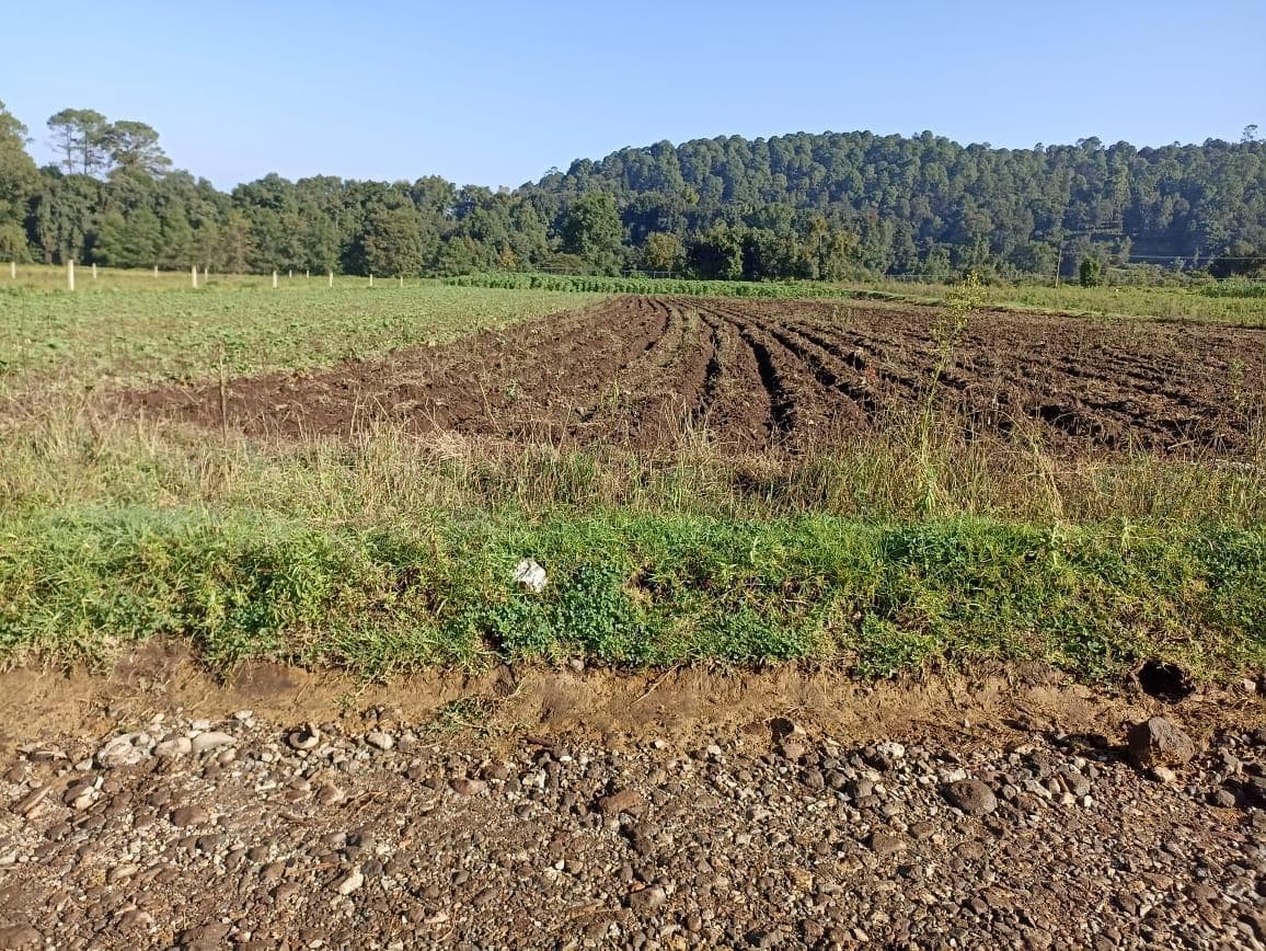 Land in San Simón el Alto