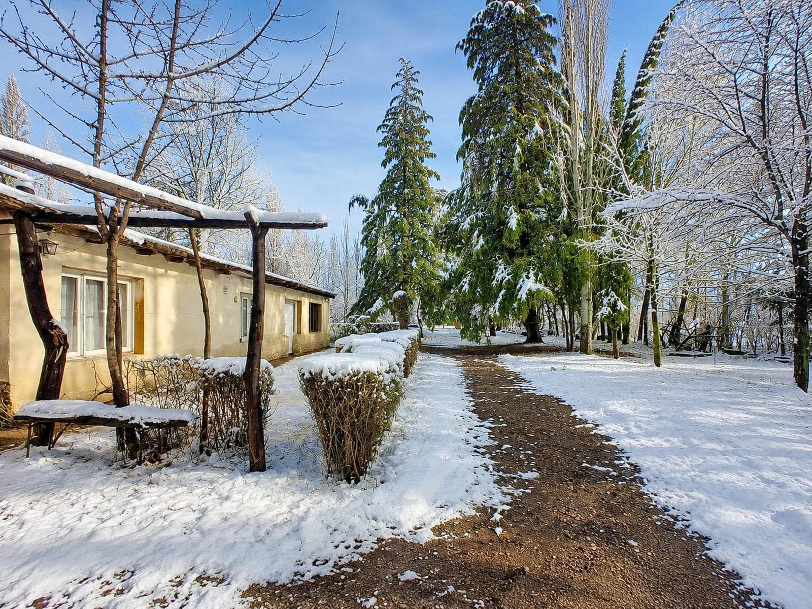 5-Bedroom House for Sale in Malargue, Mendoza, on the Road to the Dam