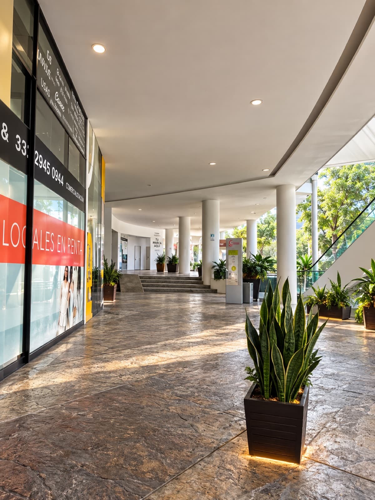 SHOPPING CENTER FOR SALE IN CHAPULTEPEC | GUADALAJARA | CAP RATE 6.29% | PROPERTY INVESTMENT