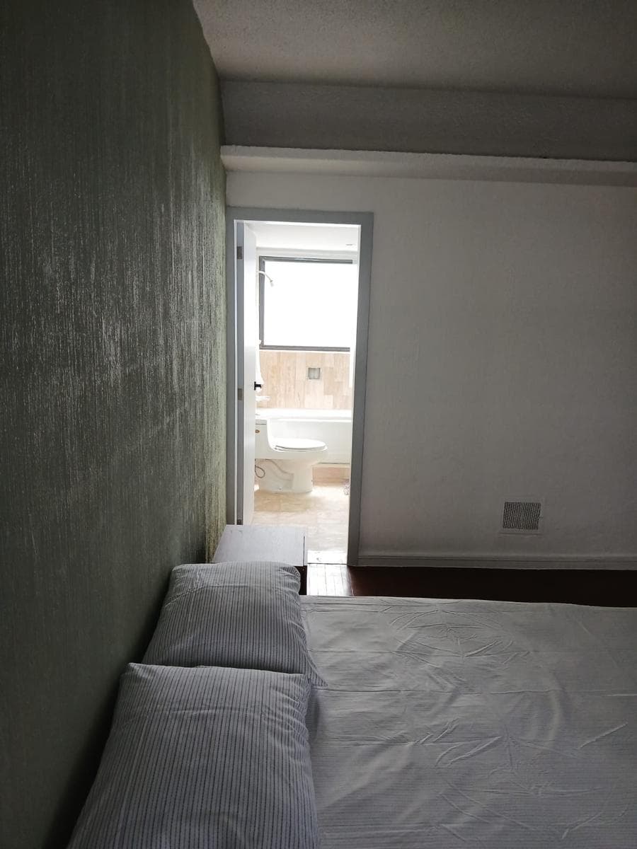 Furnished Apartment for Rent in the Polanco Neighborhood