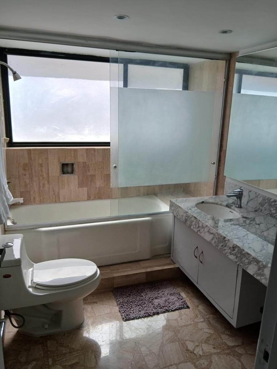 Furnished Apartment for Rent in the Polanco Neighborhood
