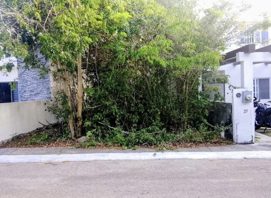 House in Puerto Morelos