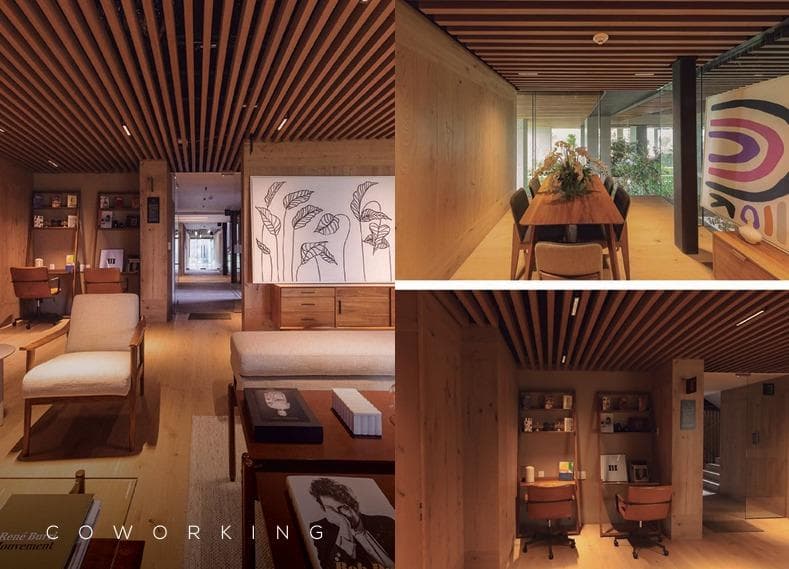 Apartment for Sale, Luxury, Amenities, Security, Pedregal, Terrace