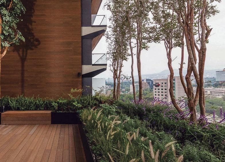 Apartment for Sale, Luxury, Amenities, Security, Pedregal, Terrace