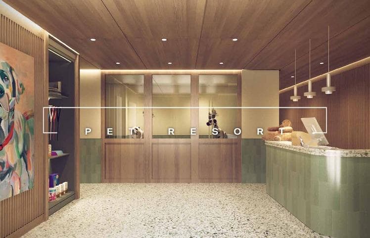 Apartment for Sale, Luxury, Amenities, Security, Pedregal, Terrace