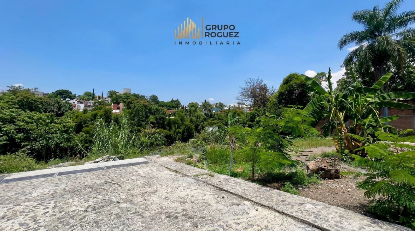 Land - Palmira