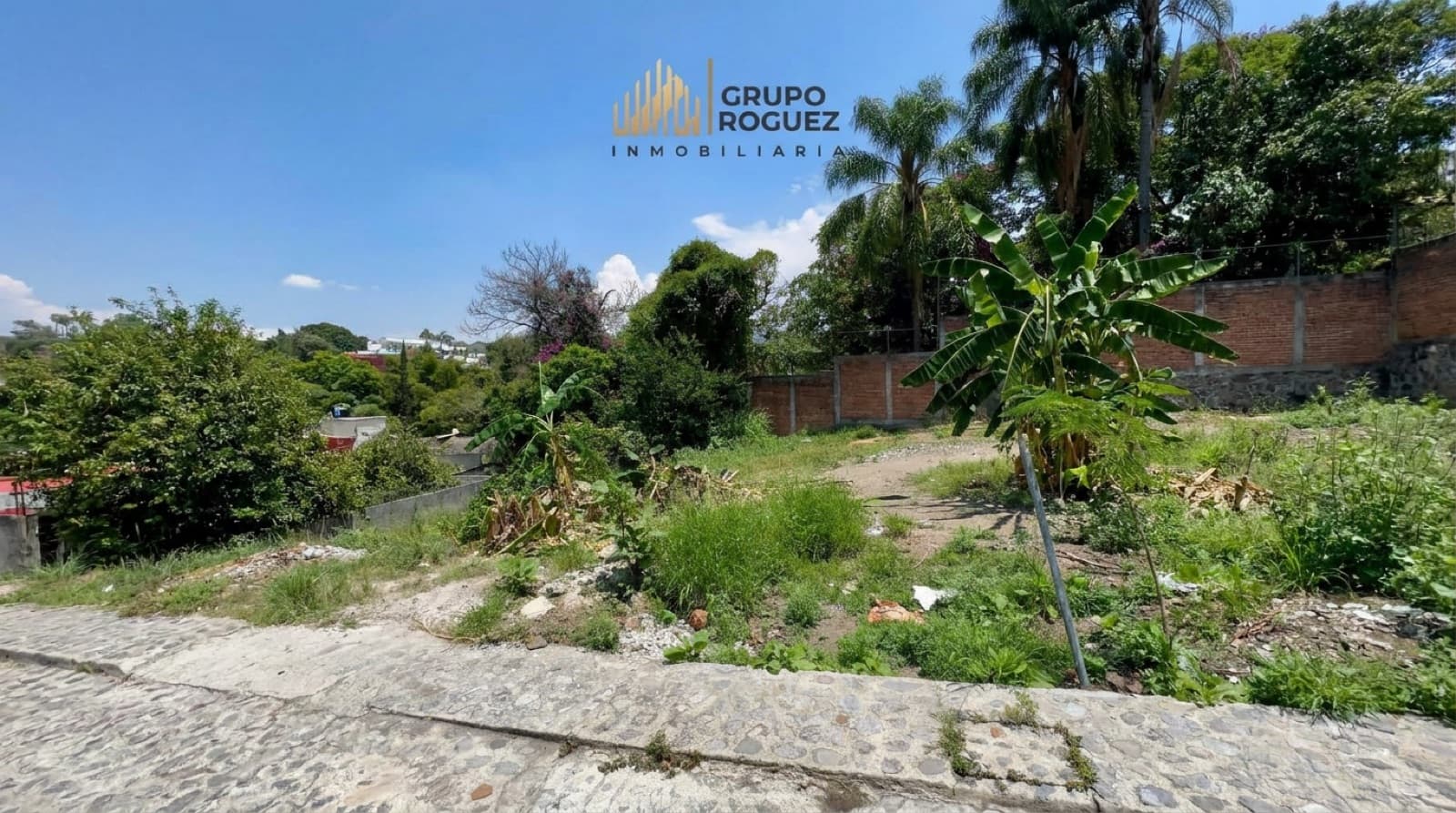 Land - Palmira