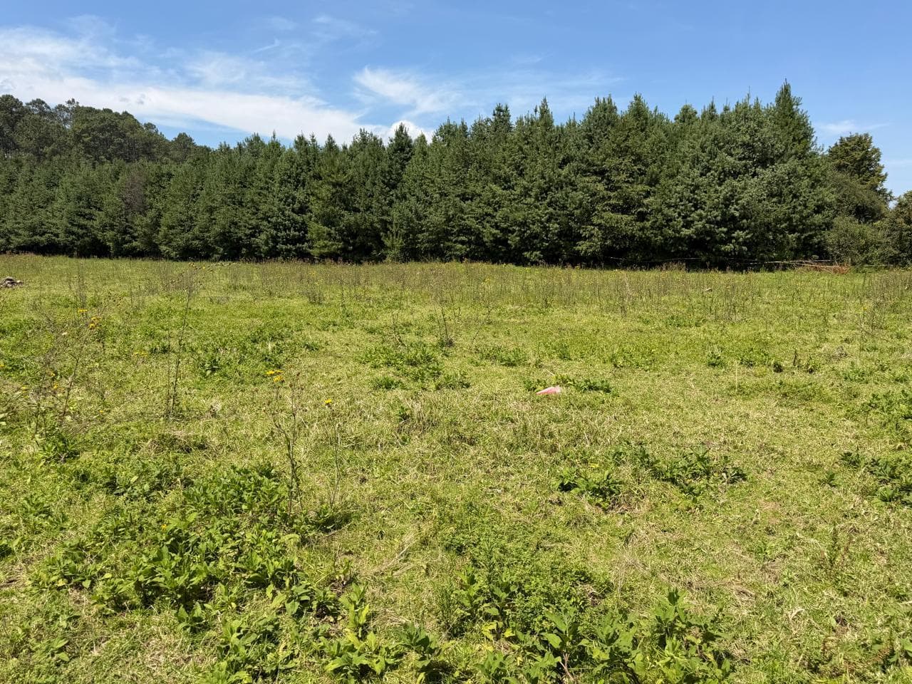 Land in Los Saúcos