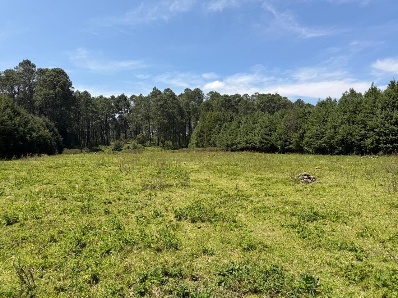 Land in Los Saúcos