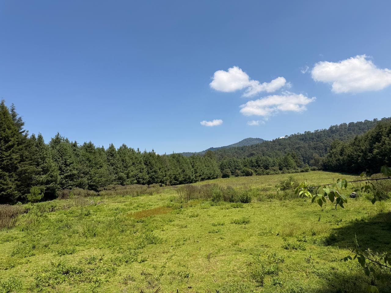 Land in Los Saúcos