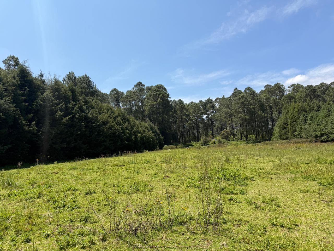 Land in Los Saúcos