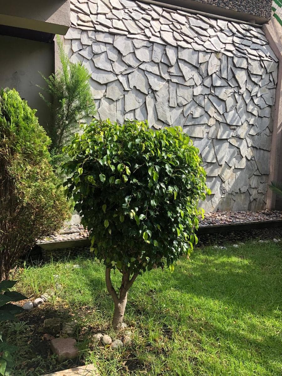 House for Rent in the Paseos del Bosque Neighborhood