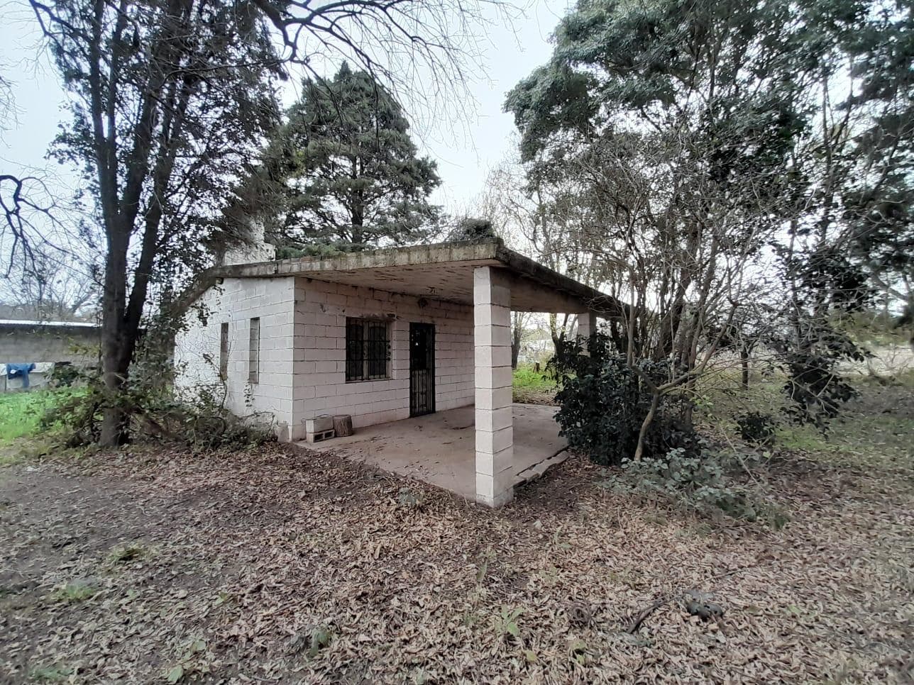 FOR SALE: PRODUCTIVE HECTARE PLUS HOUSE