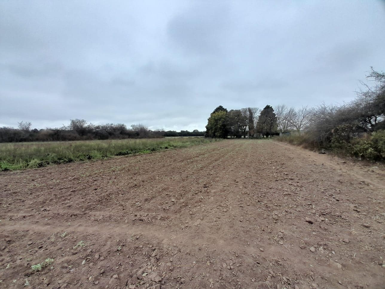 FOR SALE: PRODUCTIVE HECTARE PLUS HOUSE