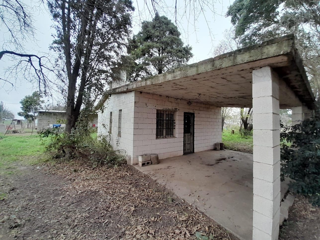 FOR SALE: PRODUCTIVE HECTARE PLUS HOUSE