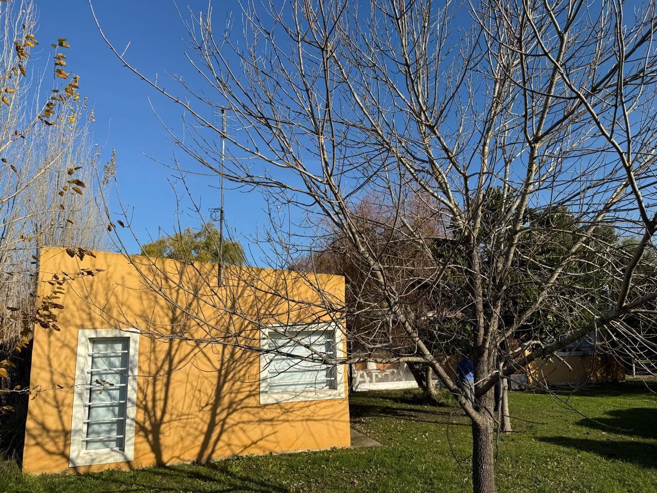 House in B.C., Laguna Vitel