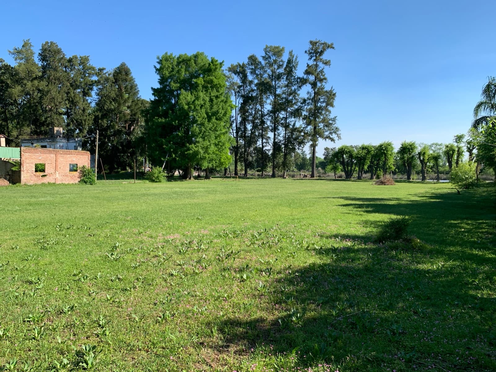 1-hectare lot for sale in the first section of Islas del Delta, Tigre, with title deed.