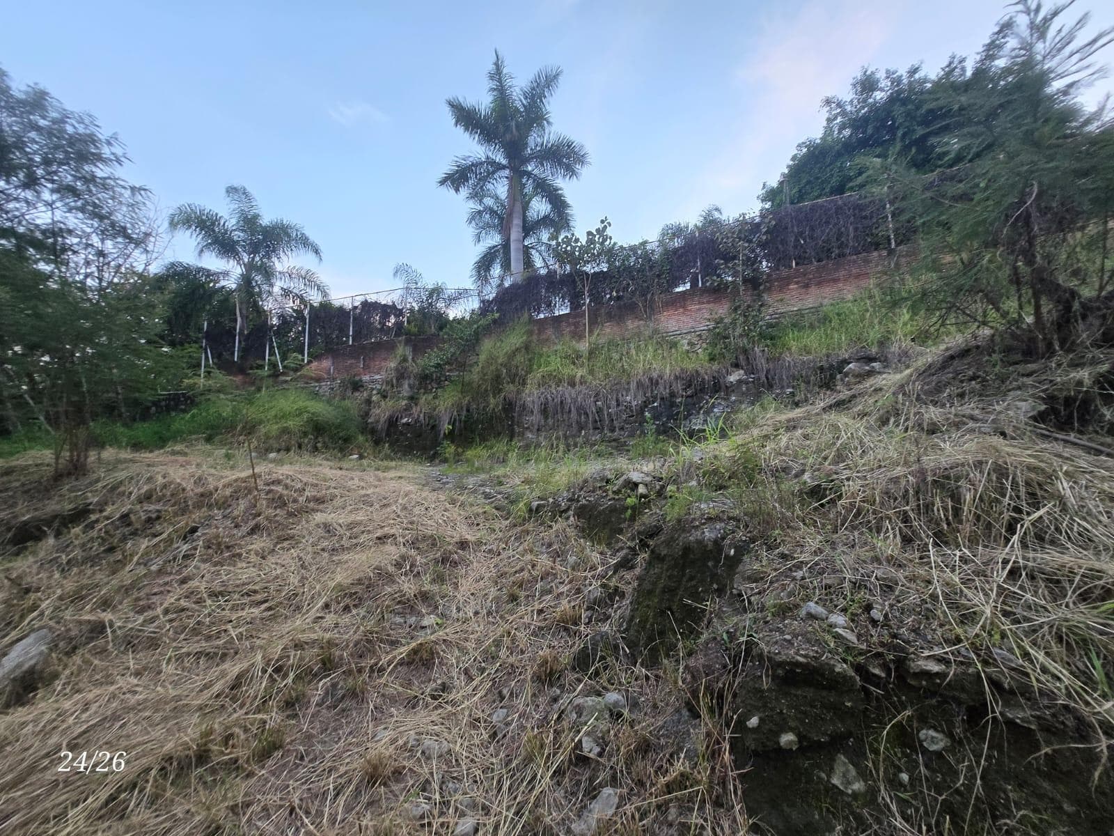 Land in Alta Palmira