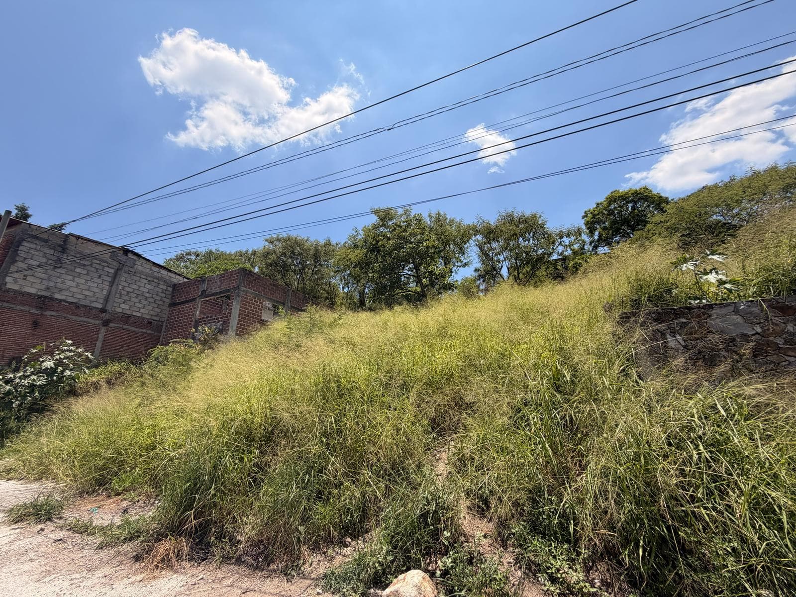 Land in Alta Palmira