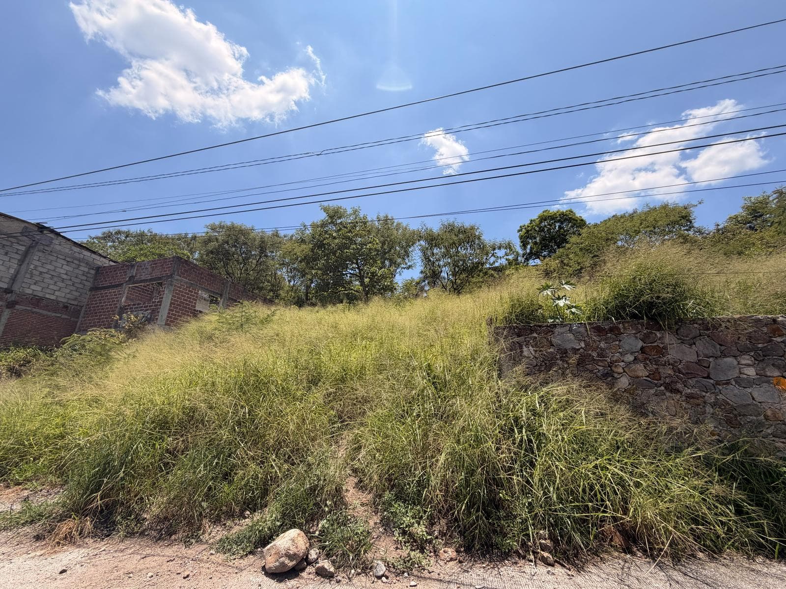 Land in Alta Palmira