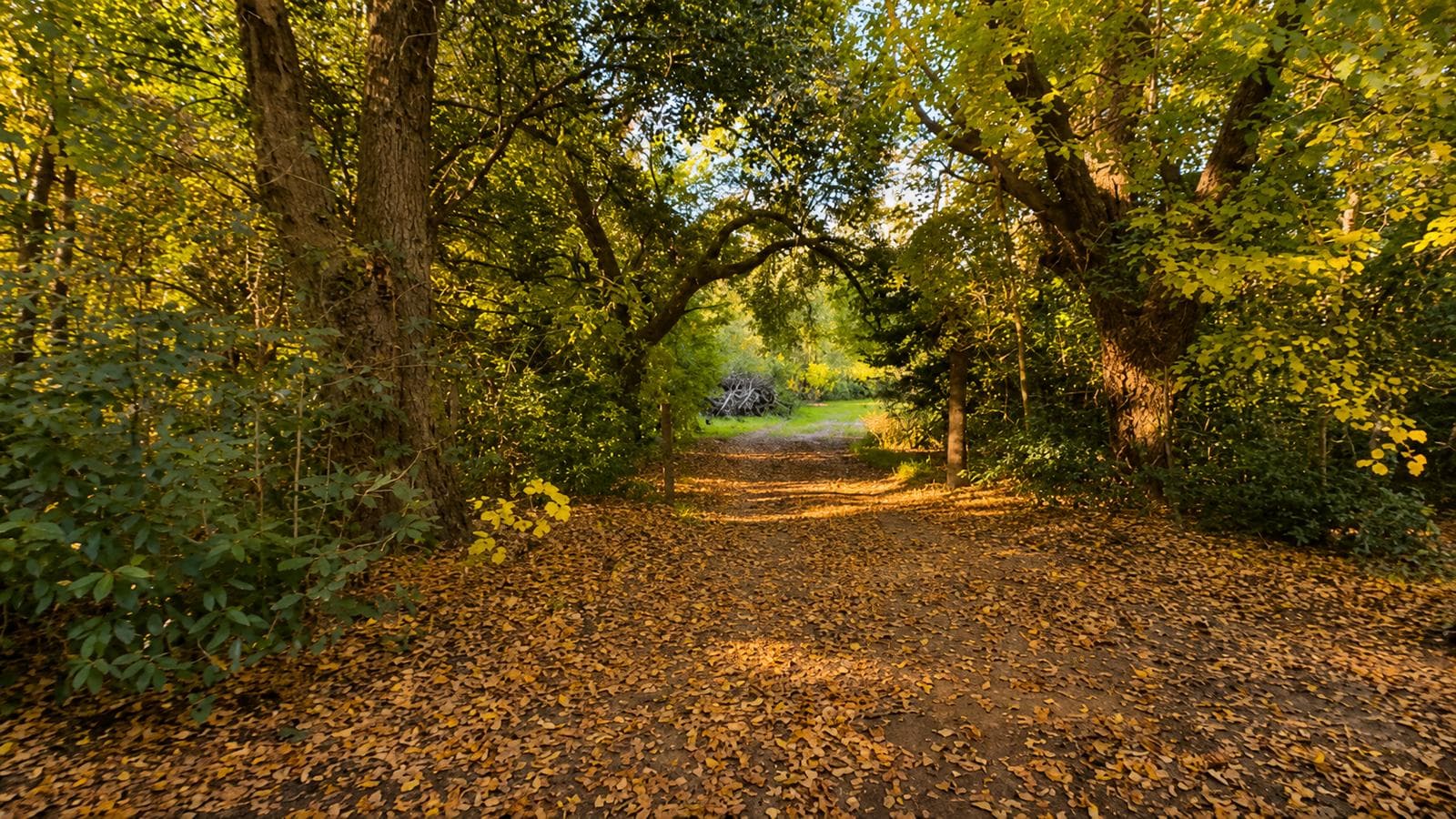 I experienced the joy of waking up every day surrounded by nature, fresh air, and serenity