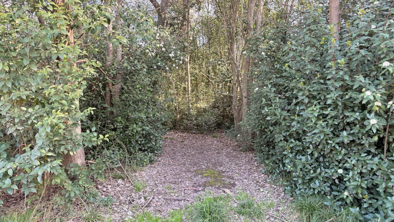 I experienced the joy of waking up every day surrounded by nature, fresh air, and serenity