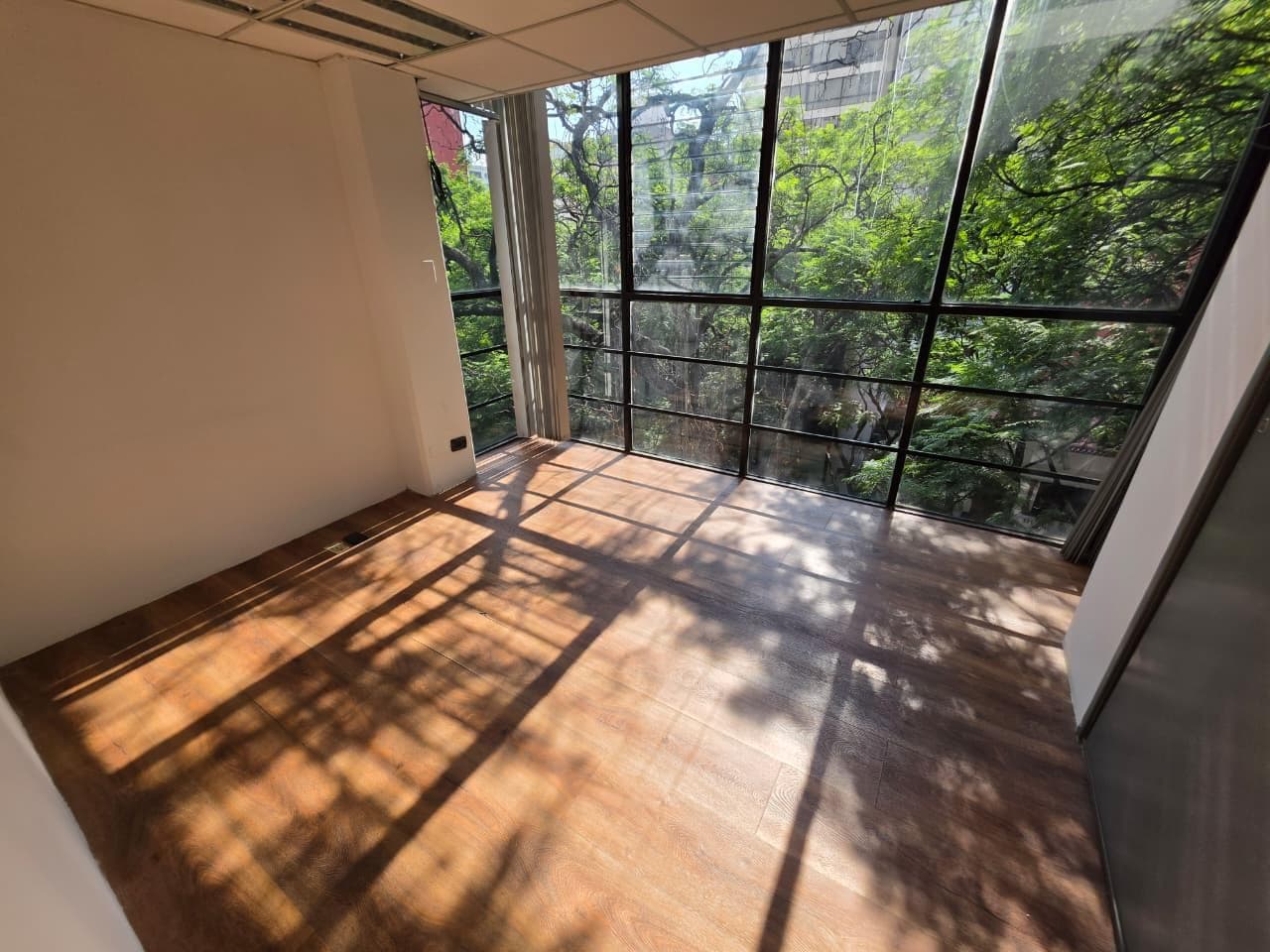 Office for Rent in Polanco