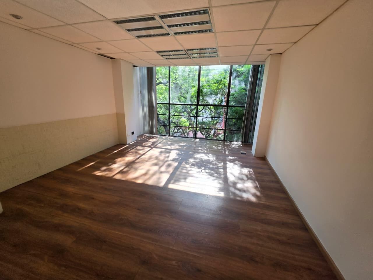 Office for Rent in Polanco