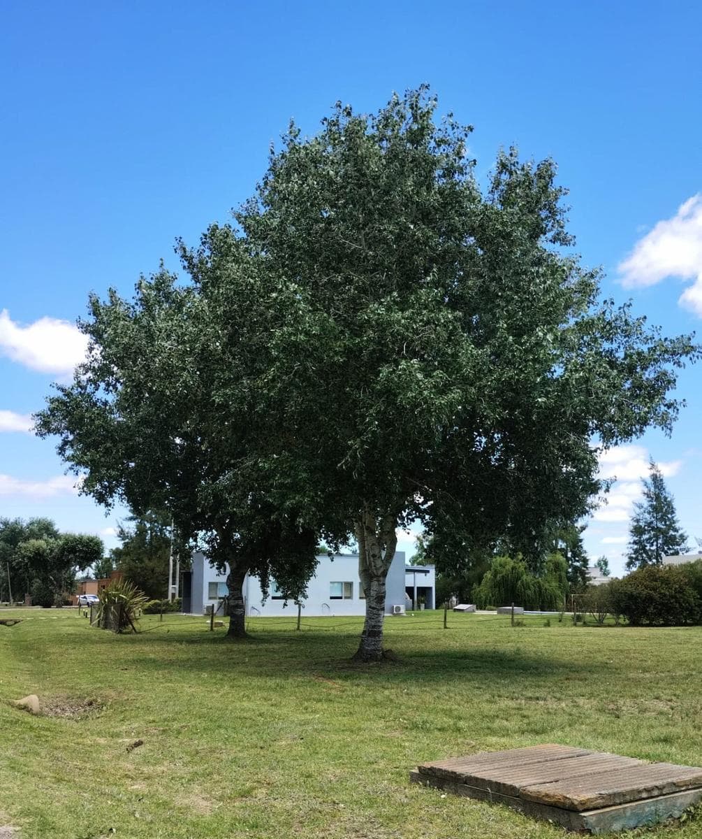Land for Sale in Fincas de San Vicente Golf