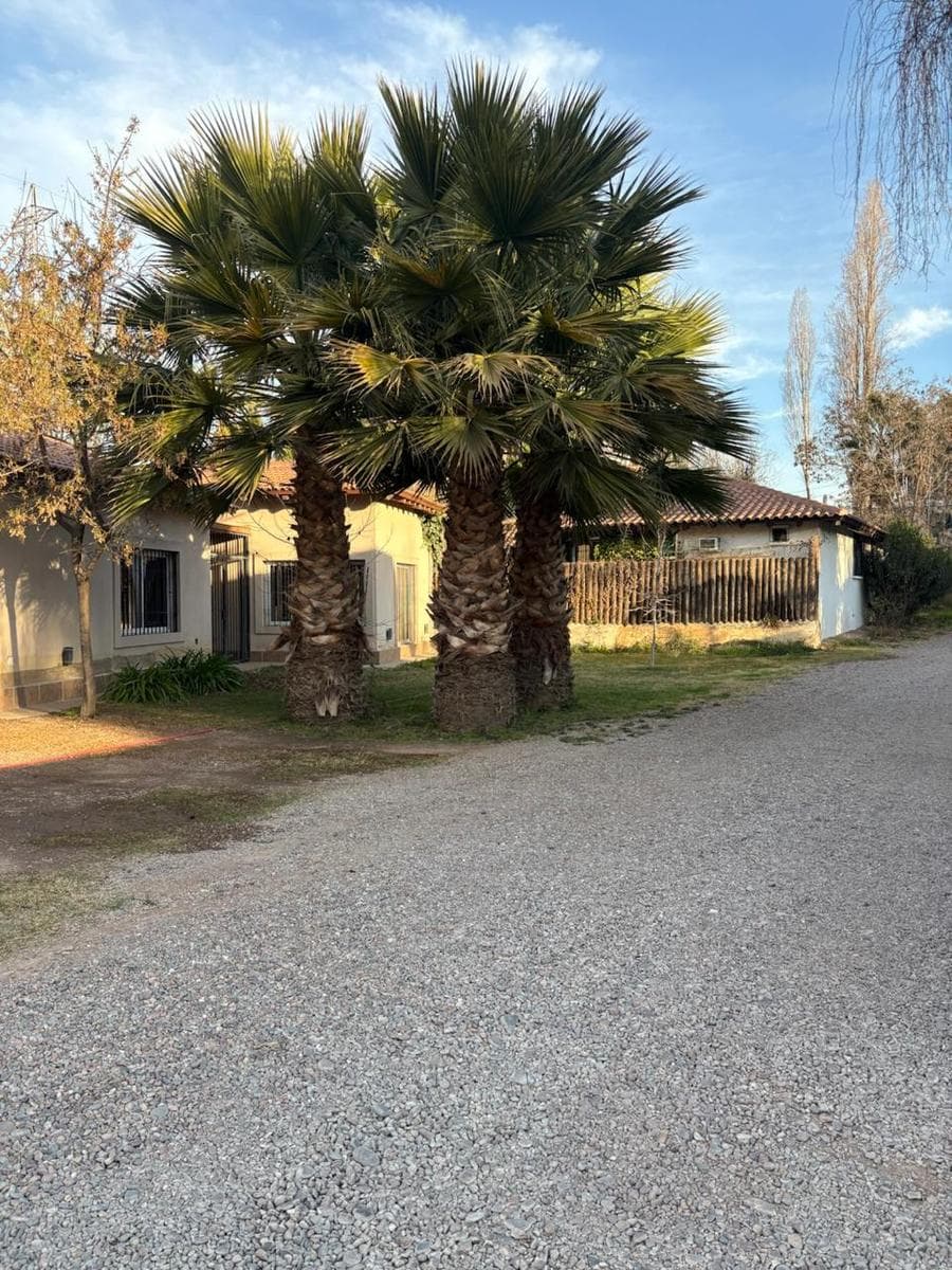House in Huerto del Sol