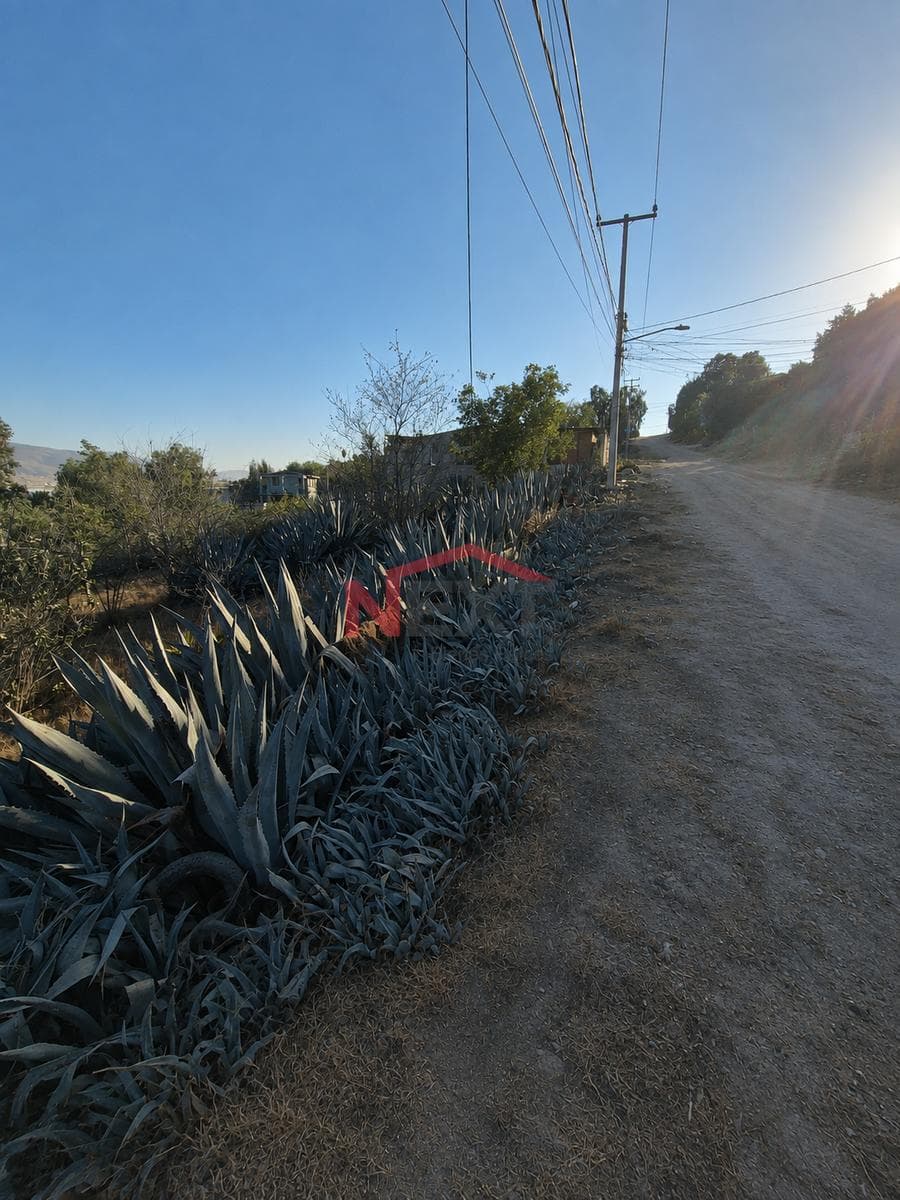 LAND FOR SALE, MACLOVIO ROJAS, TIJUANA, B.C.