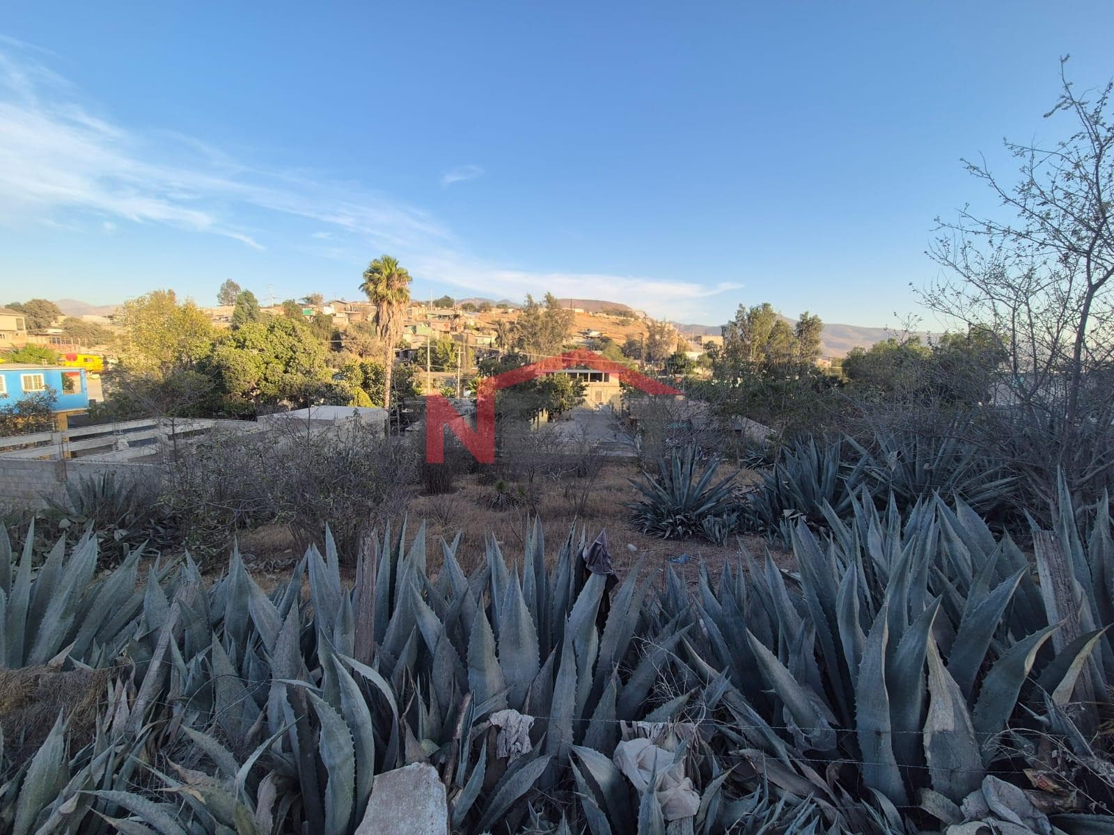 LAND FOR SALE, MACLOVIO ROJAS, TIJUANA, B.C.