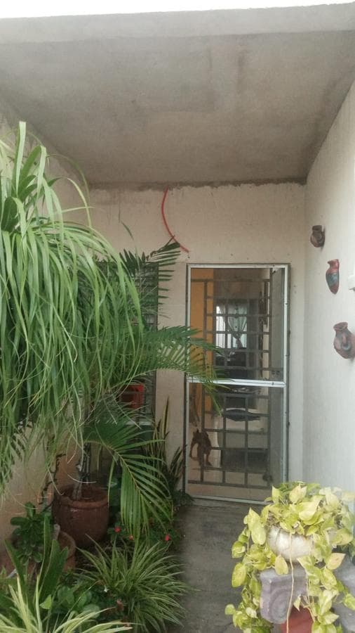 Home - Ciudad Caucel