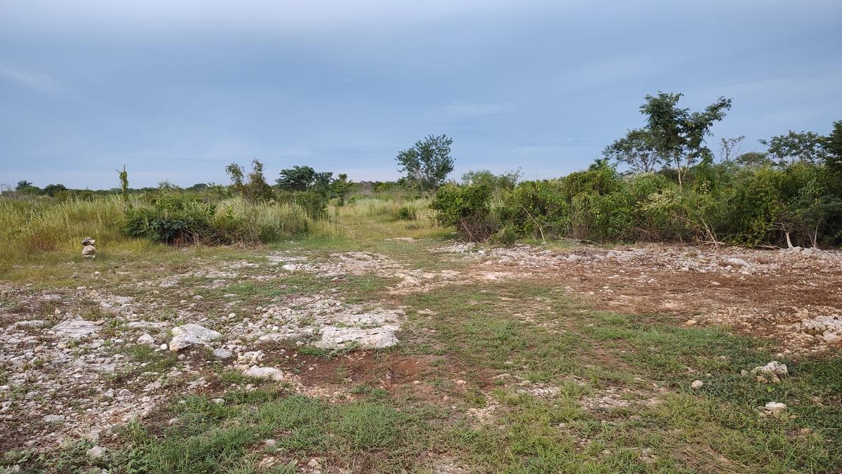 1,660-square-meter lot in a rapidly growing area of Chablekal