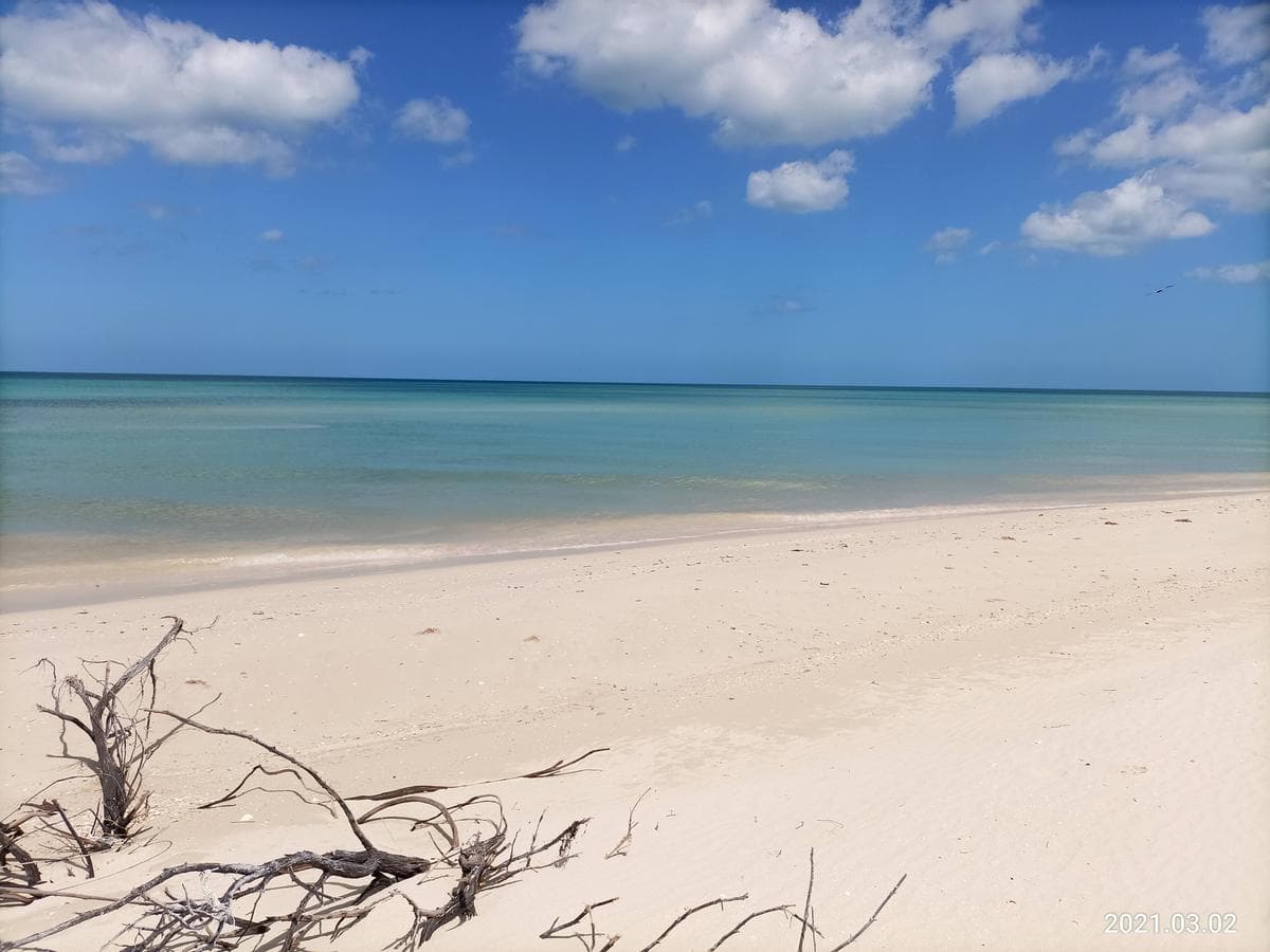 25-meter Oceanfront Lot in Sisal Sunset Beach, Yucata