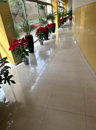 Apartment for sale, luxurious, spacious, with amenities, San Jerónimo