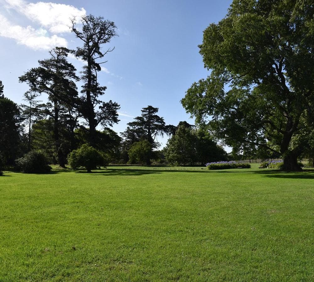 Country House for Temporary Rent, 30 Minutes from Mar del Plata