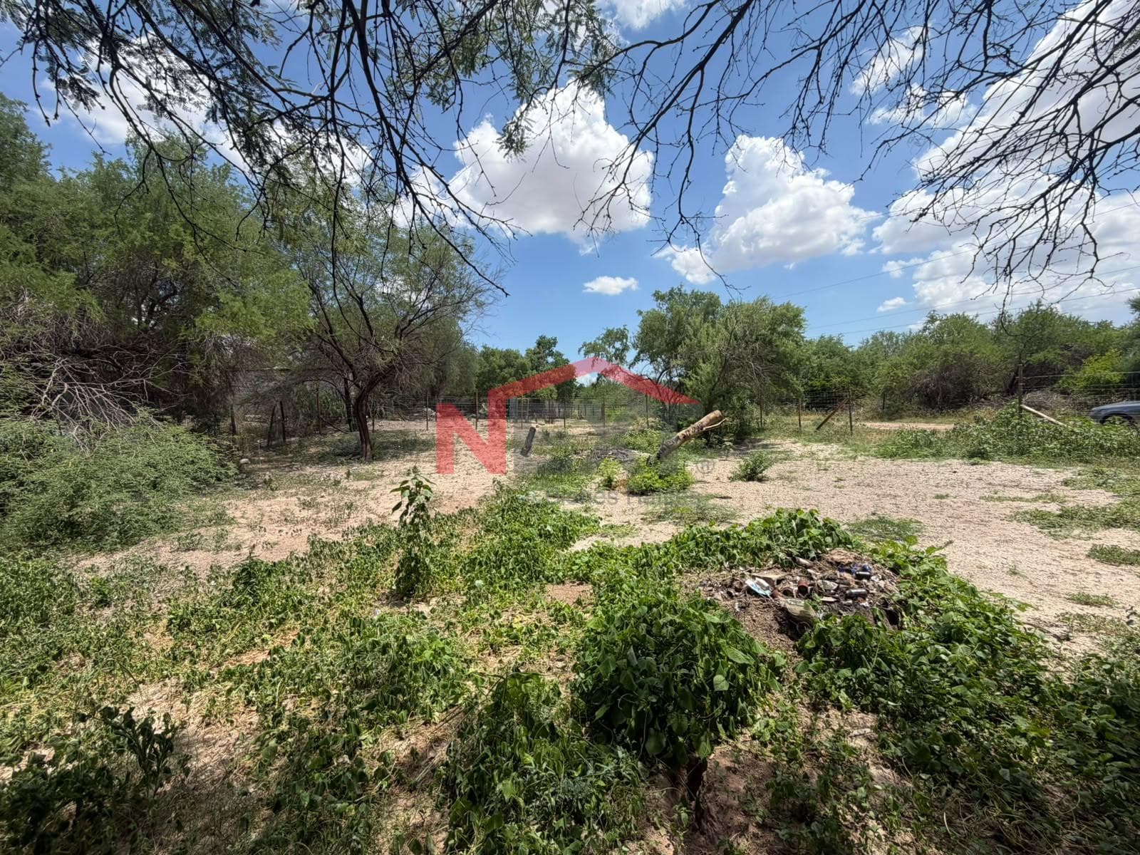 LAND FOR SALE IN SAN PEDRO EL SAUCITO