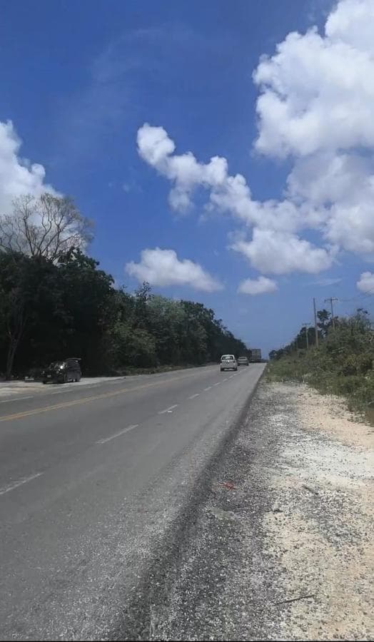 LAND FOR RENT ON THE CANCÚN–MÉRIDA HIGHWAY NEAR HUAYACÁN | STRATEGIC LOCATION AND EXCELLENT CONNECTIVITY