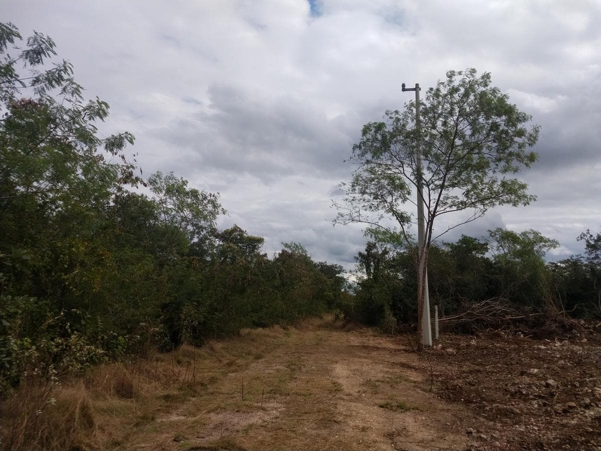 2,309-square-meter lot in Quintas Cholul